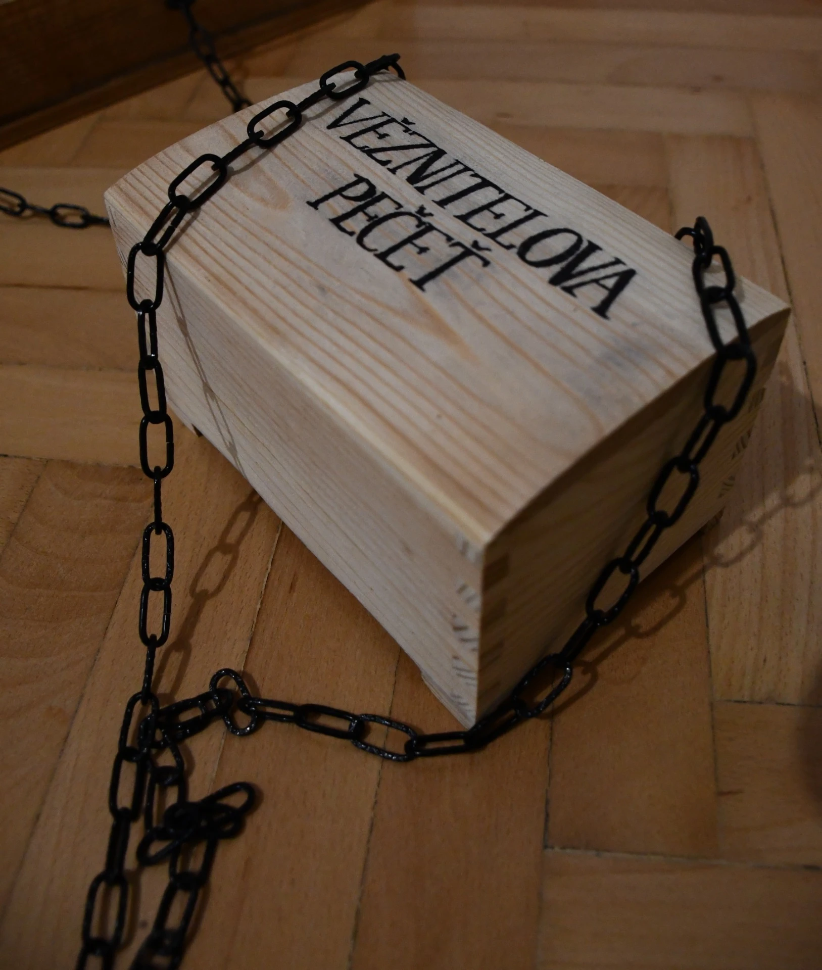 Úniková hra - Případ zmizelé Nely 3